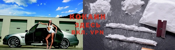 прущая мука Вяземский