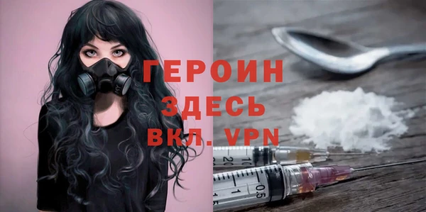 индика Сатка