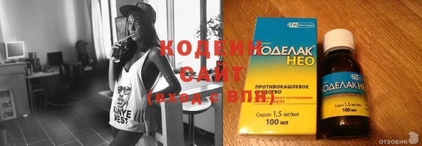 индика Сатка