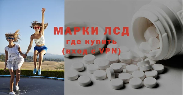индика Сатка