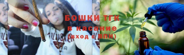 ПСИЛОЦИБИНОВЫЕ ГРИБЫ Вязники