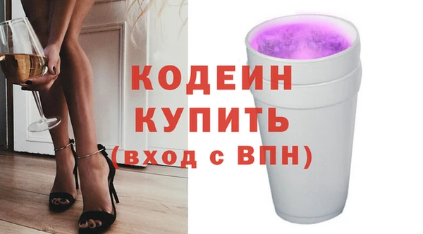 индика Сатка