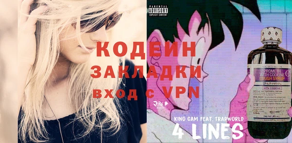 ПСИЛОЦИБИНОВЫЕ ГРИБЫ Вязники