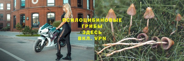 ПСИЛОЦИБИНОВЫЕ ГРИБЫ Вязники