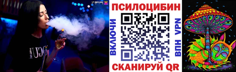 Псилоцибиновые грибы Cubensis  Улан-Удэ 